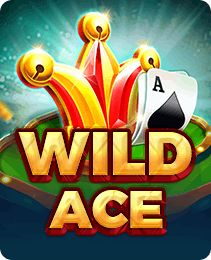 Wild Ace slot game — B9 Game